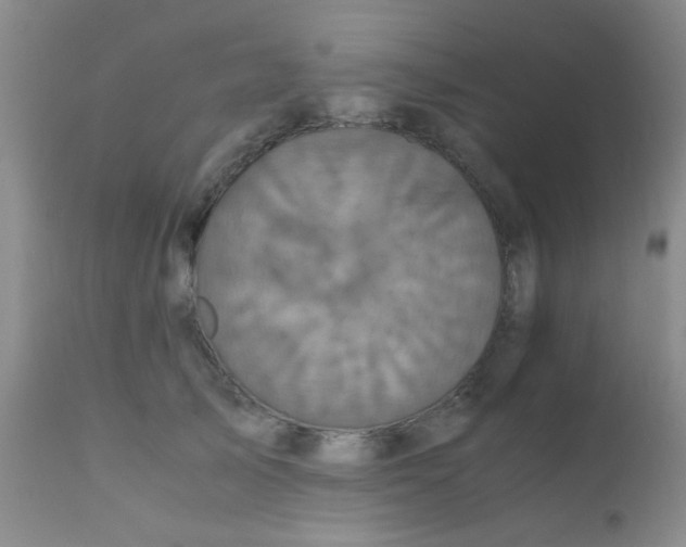 X0000110950705200907022157