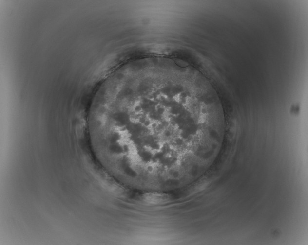 X0000110950707200907022157