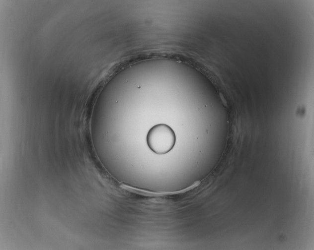 X0000110950708200907022157