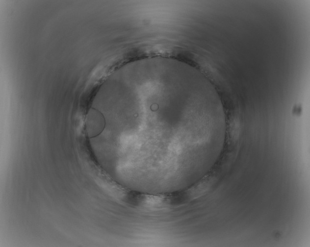 X0000110950709200907022157