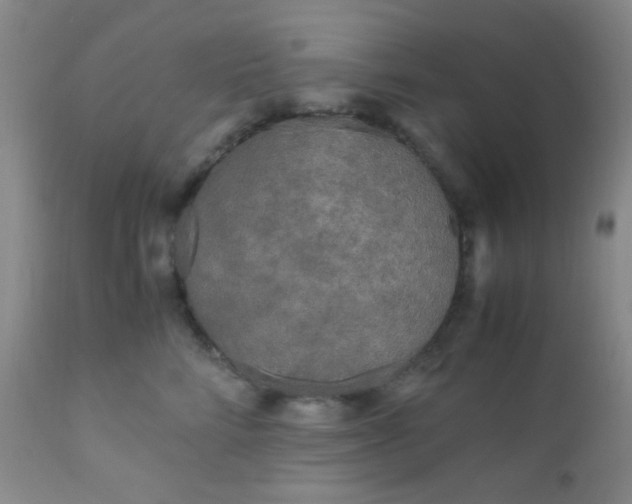 X0000110950712200907022157