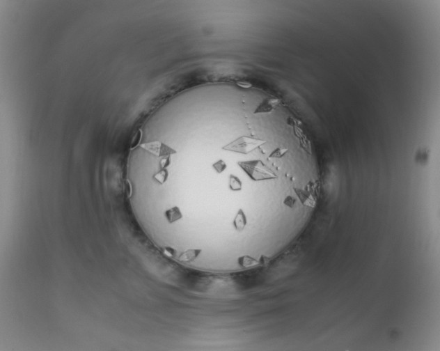 X0000110950715200907022157