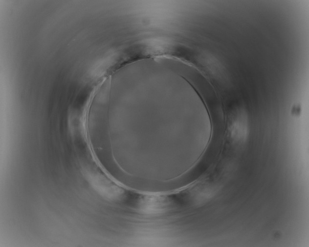 X0000110950716200907022157