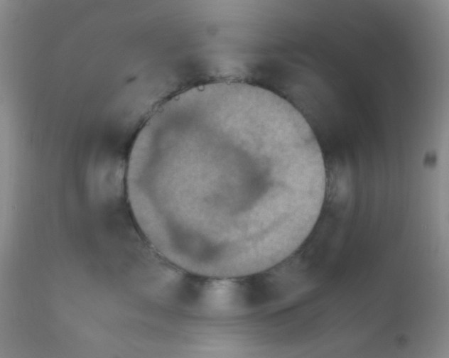 X0000110950717200907022157