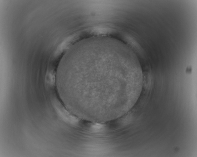 X0000110950718200907022157