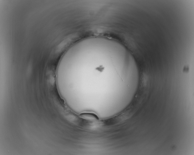 X0000110950719200907022157