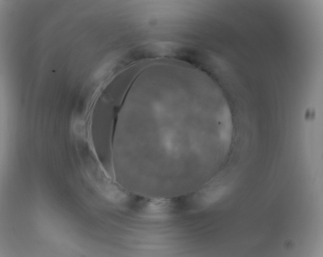 X0000110950720200907022157