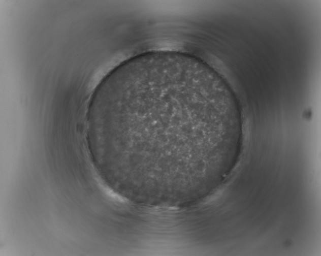 X0000110950721200907022156