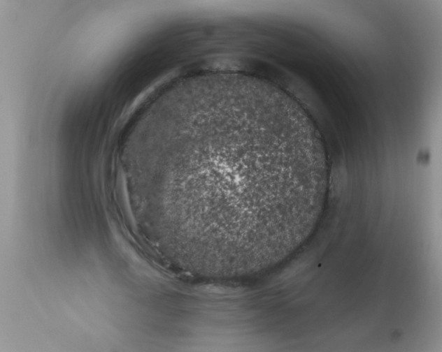 X0000110950722200907022156