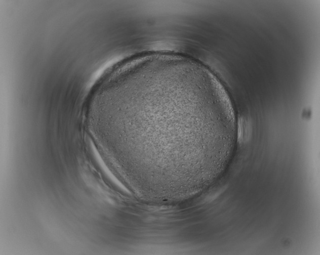 X0000110950723200907022156