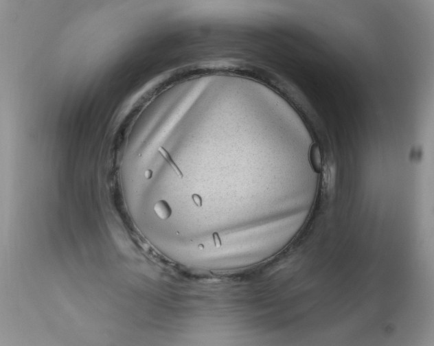 X0000110950724200907022156