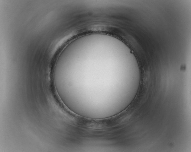 X0000110950727200907022156