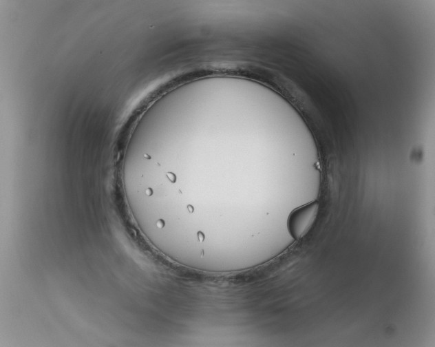 X0000110950728200907022156