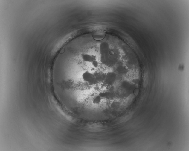 X0000110950729200907022156