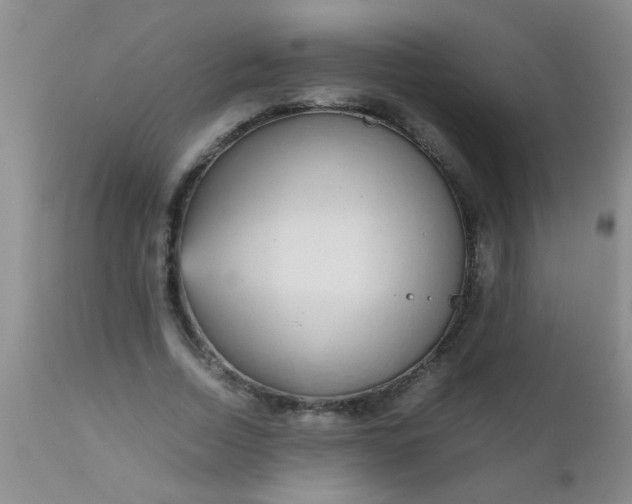 X0000110950730200907022156