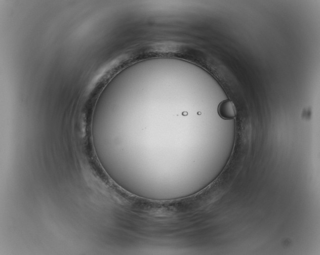 X0000110950731200907022156