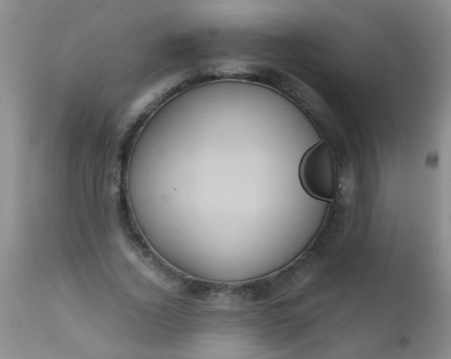 X0000110950732200907022156