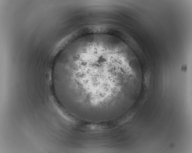 X0000110950733200907022156