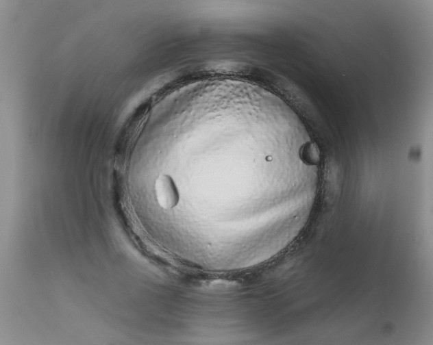 X0000110950734200907022156