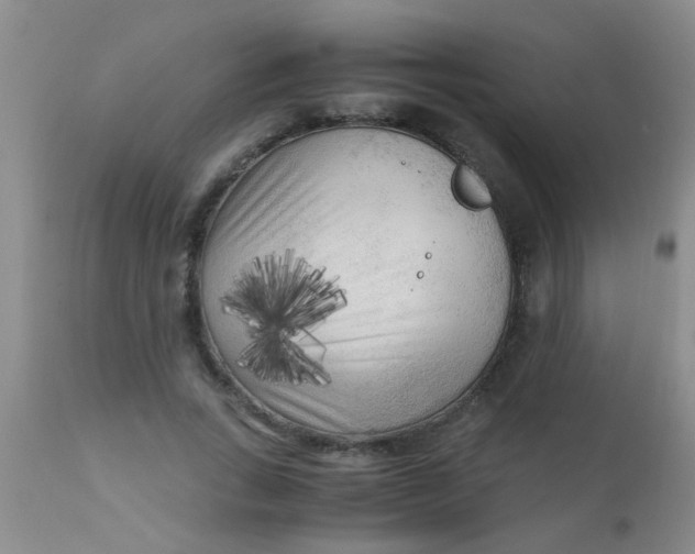 X0000110950735200907022156