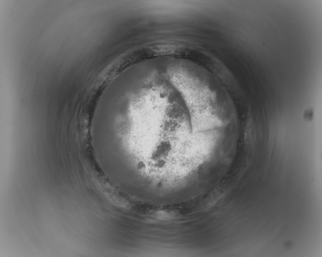 X0000110950737200907022156