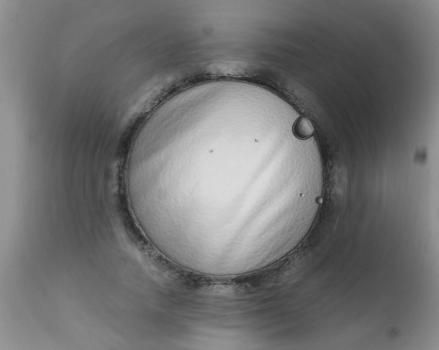 X0000110950738200907022156