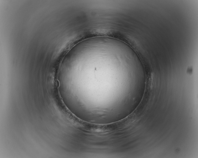 X0000110950739200907022156