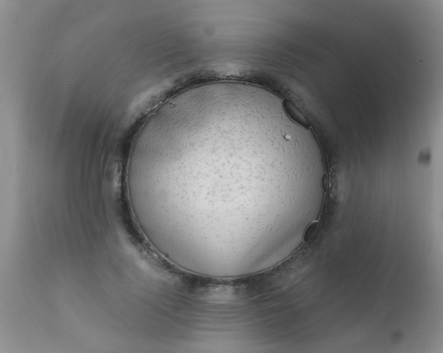 X0000110950740200907022156