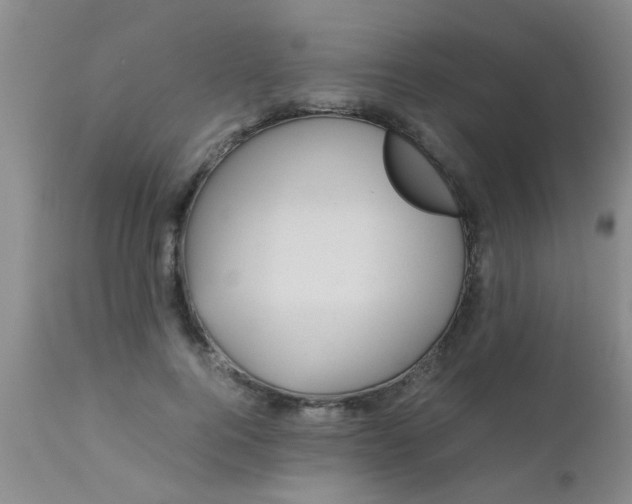 X0000110950744200907022156