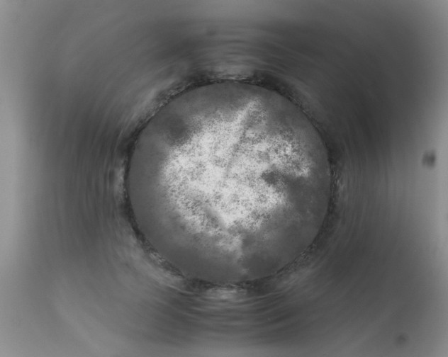 X0000110950745200907022156