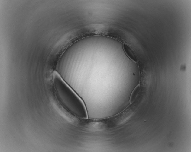 X0000110950748200907022156