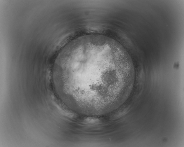 X0000110950749200907022156