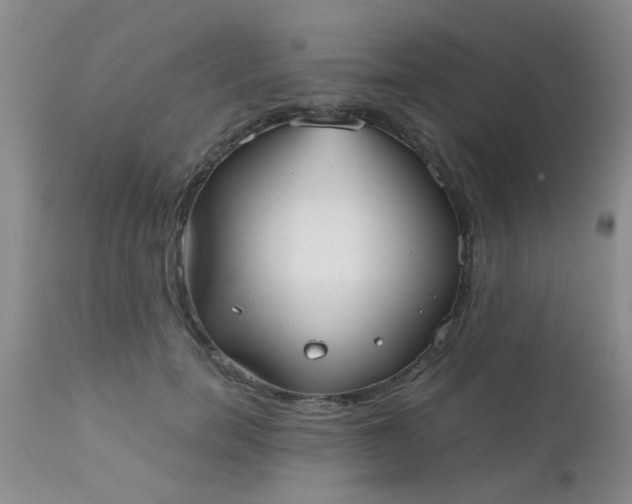 X0000110950750200907022156