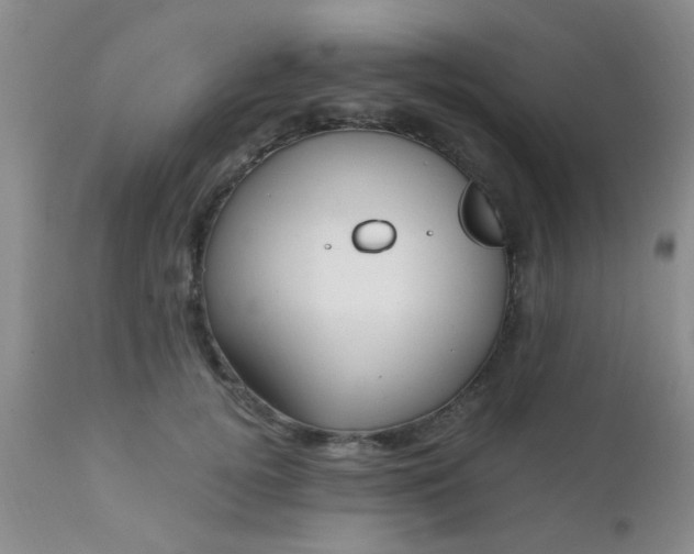 X0000110950752200907022157