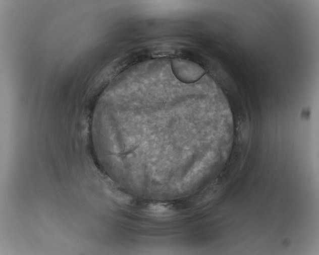 X0000110950753200907022157