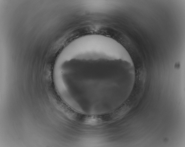 X0000110950754200907022157