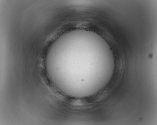 X0000110950755200907022157