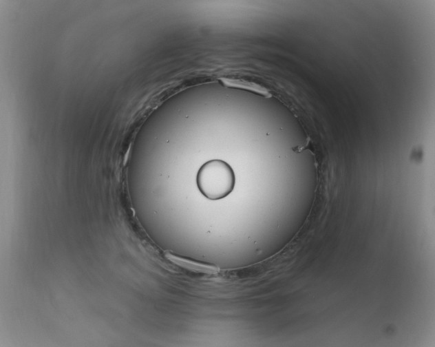 X0000110950756200907022157