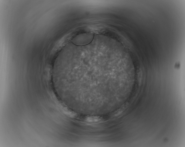 X0000110950757200907022157