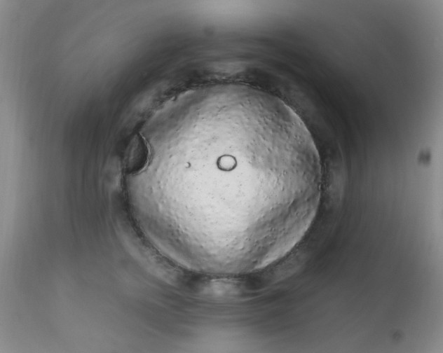 X0000110950758200907022157