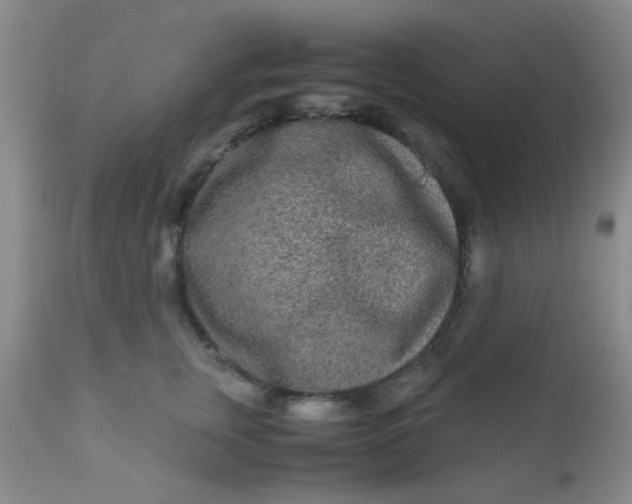 X0000110950759200907022157