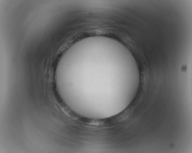 X0000110950760200907022157