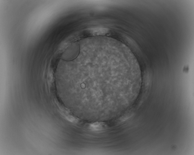 X0000110950761200907022157