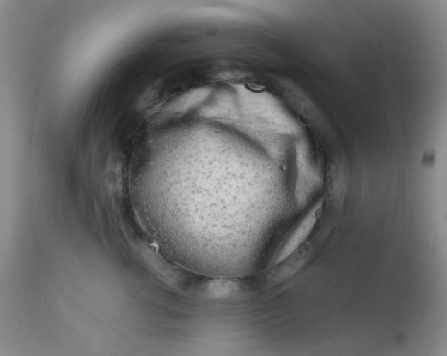 X0000110950762200907022157