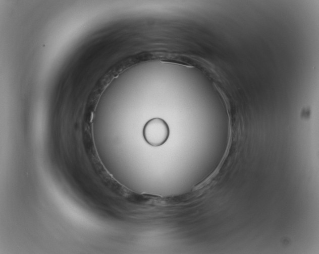 X0000110950764200907022157