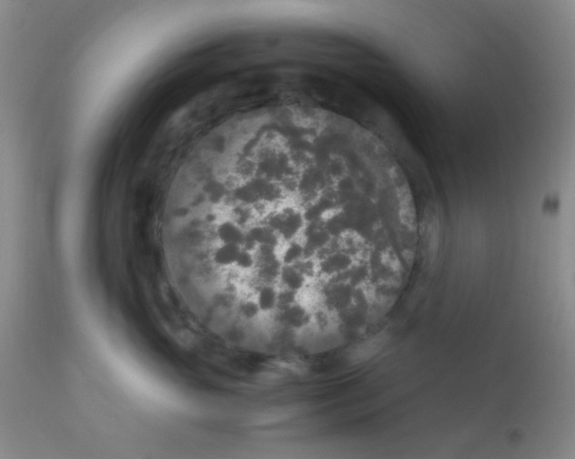 X0000110950765200907022157