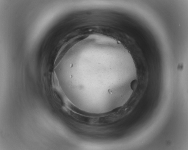 X0000110950766200907022157