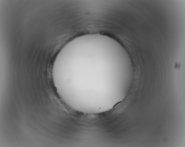 X0000110950768200907022157