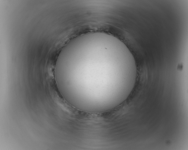 X0000110950770200907022156