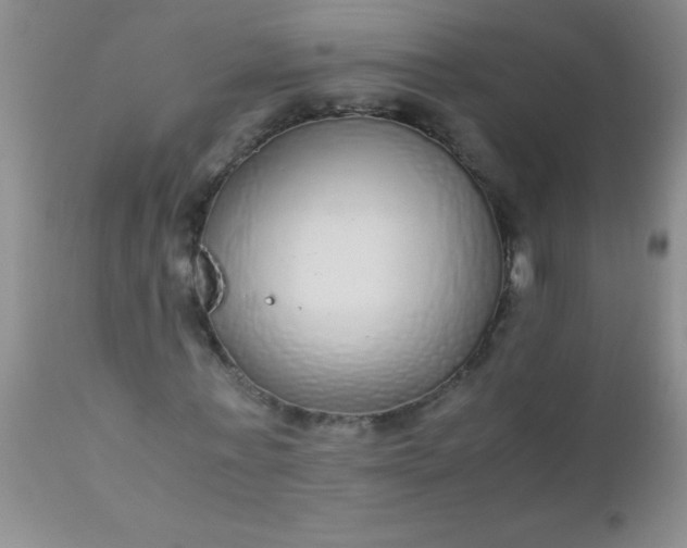 X0000110950771200907022156